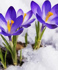 Aesthetic Spring Purple Flower In Snow Paint By Number