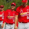 St Louis Cardinals Players Paint By Number