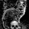 The Skull Cat Paint By Number