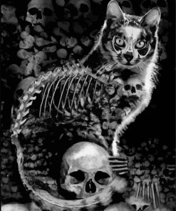 The Skull Cat Paint By Number
