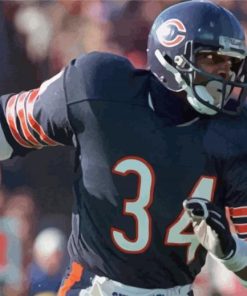 Walter Payton Football Game Paint By Number