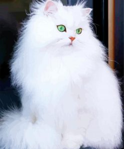 White Fluffy Cats Paint By Number