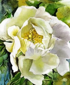 White Peony Art Paint By Number