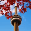 Cn Tower And Leaves Paint By Number