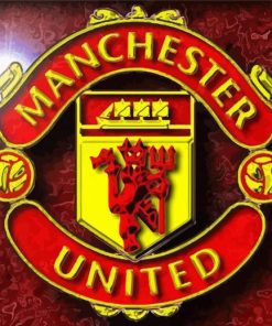 Manchester United Logo Paint By Number