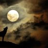 Moon With Howling Wolf Paint By Number
