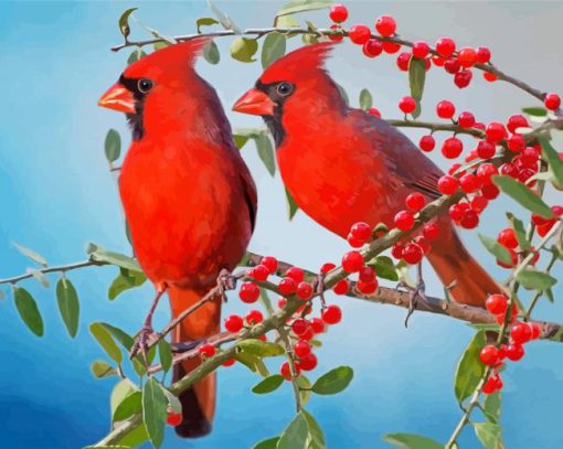 Red Cardinals And Berries Paint By Number