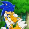 Sonic And Tails Paint By Number
