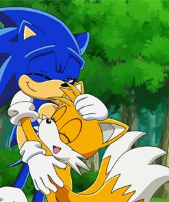 Sonic And Tails Paint By Number
