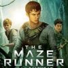The Maze Runner Poster Paint By Number