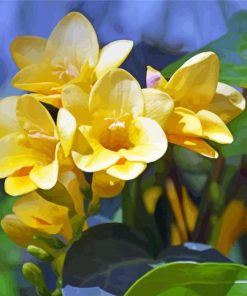 Yellow Flower Freesia Paint By Number