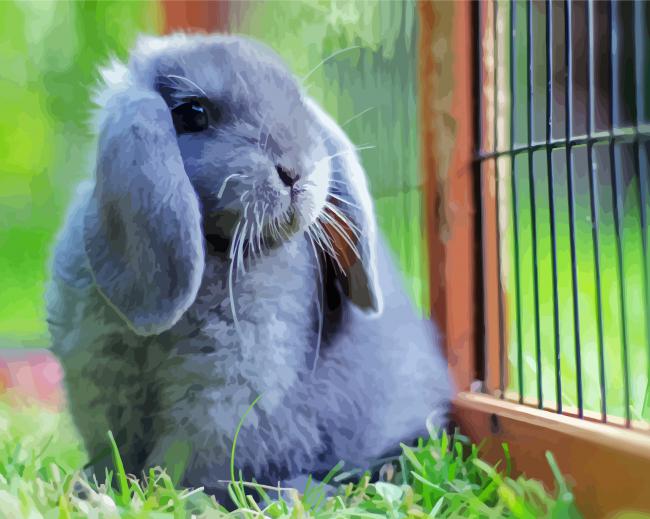 Adorable Mini Lop Paint By Number