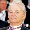 Aesthetic Bill Murray Paint By Number