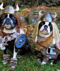 Aesthetic Vikings Dogs Paint By Number