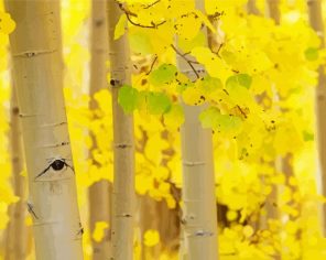 Aesthetic Yellow Speen Trees Paint By Number