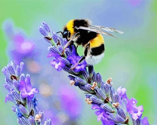 Bee On Lavender Flower Paint By Number