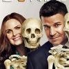 Booth And Brennan Bones Drama Serie Paint By Number
