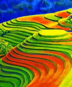 Colorful Rice Field Paint By Number