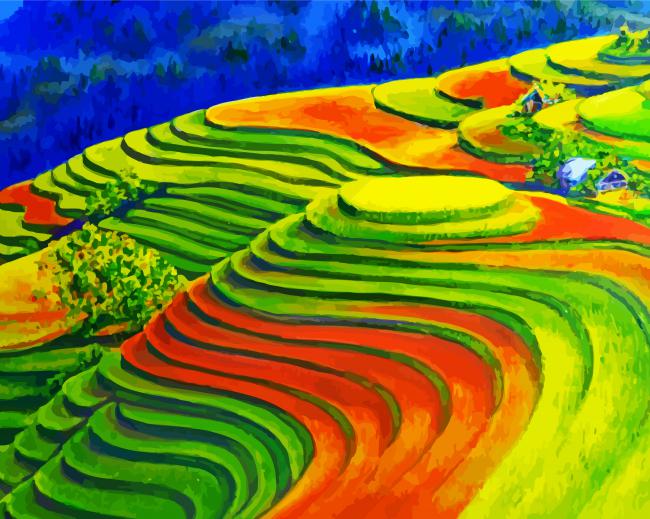 Colorful Rice Field Paint By Number