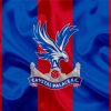 Crystal Palace FC Logo Paint By Number