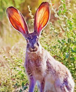 Adorable Big Eared Bunny Paint By Number