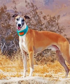 Cute Whippet Paint By Number