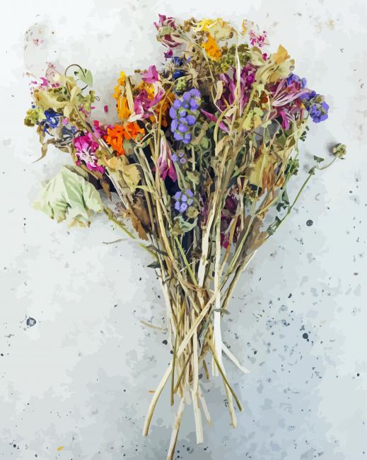 Dried Flowers Bouquet Paint By Number