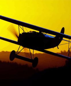 Fokker Silhouette Paint By Number