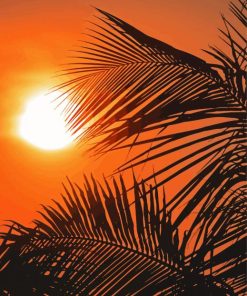 Palm Frond At Sunset Paint By Number