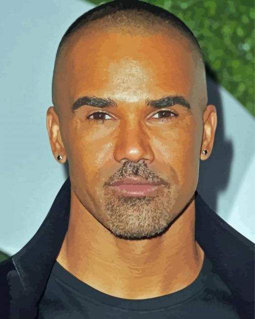 Shemar Moore Actor Paint By Number