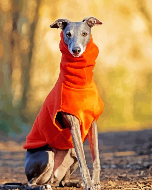 Stylish Whippet Paint By Number