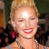 The Actress Katherine Heigl Paint By Number