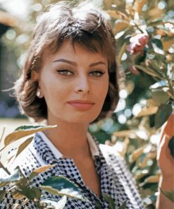 Actress Sophia Loren Paint By Number