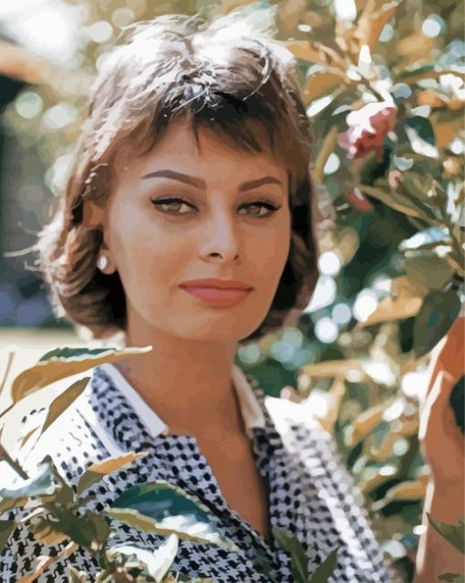 Actress Sophia Loren Paint By Number