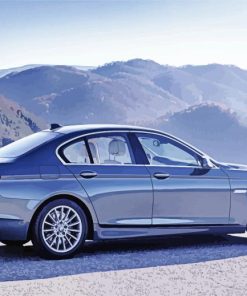 Aesthetic BMW 535i Car Paint By Number