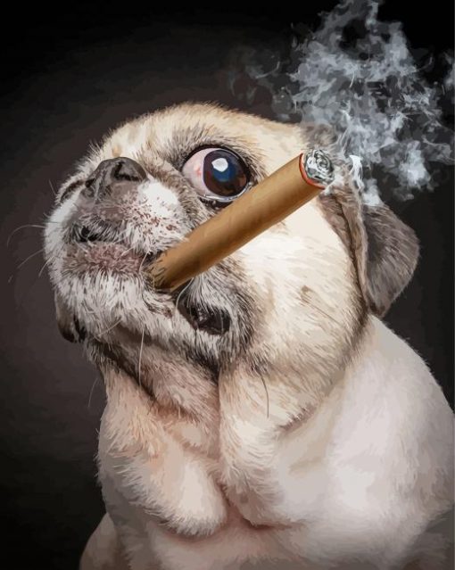 Aesthetic Pug With A Cigar Paint By Number