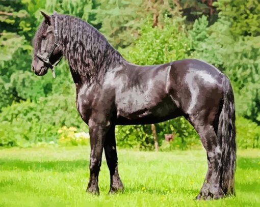 Beautiful Friesian Horse Paint By Number