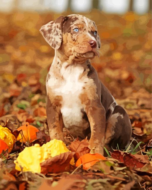 Catahoula Puppy With Pumpkins Paint By Number