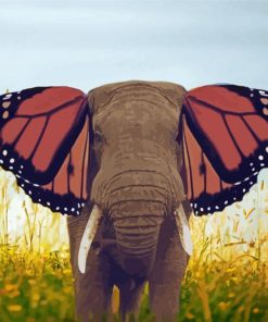 Elephant Animal And Butterfly Paint By Number