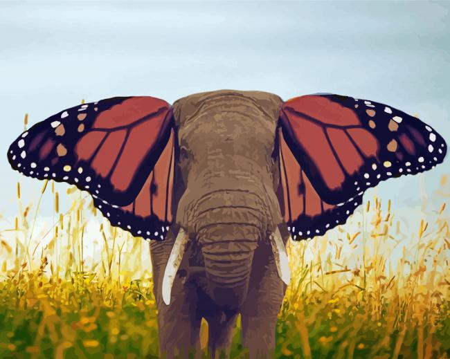 Elephant Animal And Butterfly Paint By Number