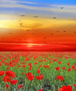 Landscape Flowers Poppies Paint By Number