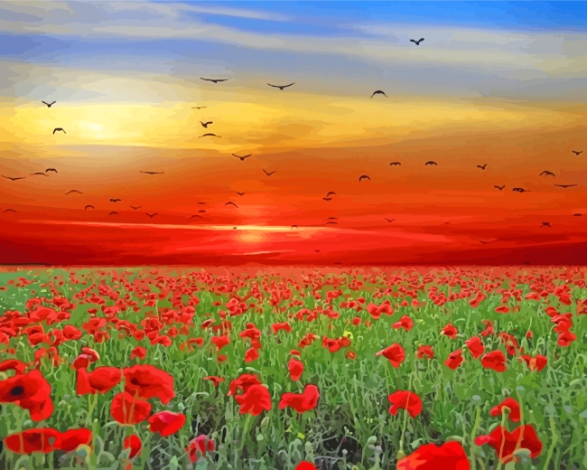 Landscape Flowers Poppies Paint By Number