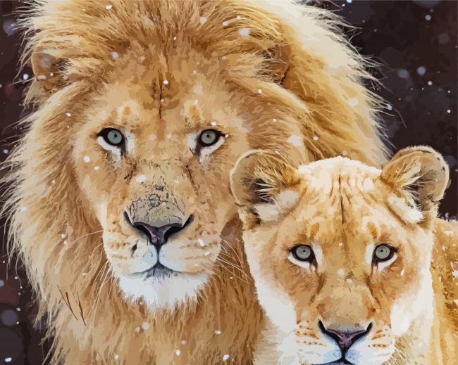 Lion And Lioness Animal Paint By Number