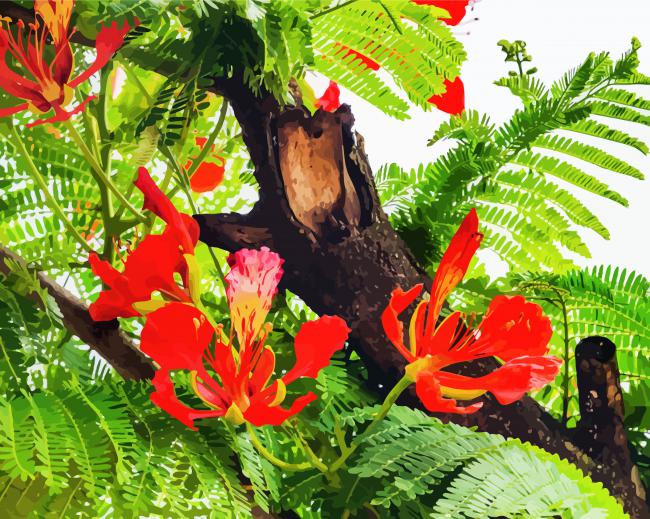 Red Flame Tree Flowers Paint By Number