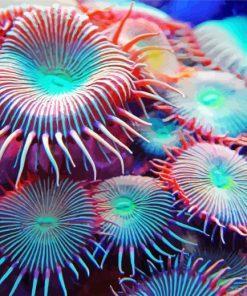 Sea Anemones Paint By Number
