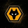 Wolves Fc Logo Paint By Number