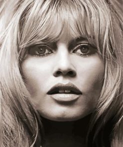 Beautiful Brigitte Bardot paint by numbers