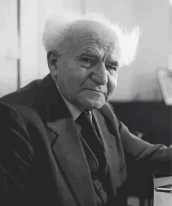 David Ben Gurion paint by numbers