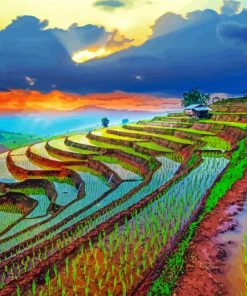 Farming Terraces paint by numbers