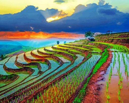 Farming Terraces paint by numbers
